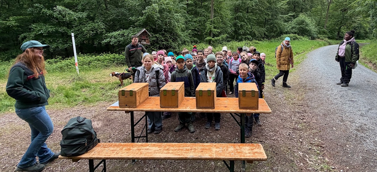 Waldjugendspiele 2026. Ein tolles Erlebnis!
